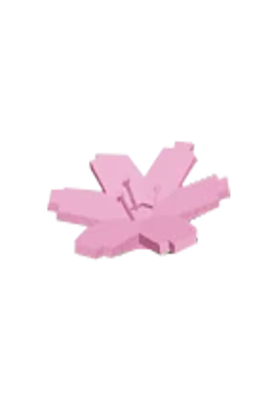 Cherry Blossom