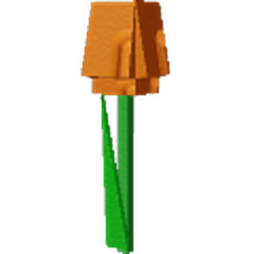 Orange Tulip